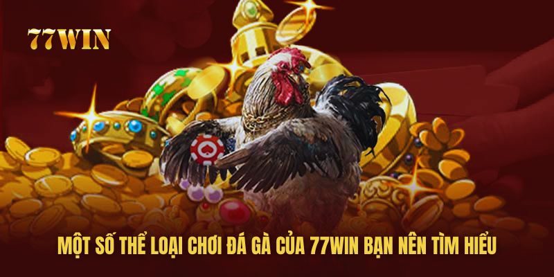 Một số thể loại chơi đá gà trực tuyến của 77win bạn nên tìm hiểu